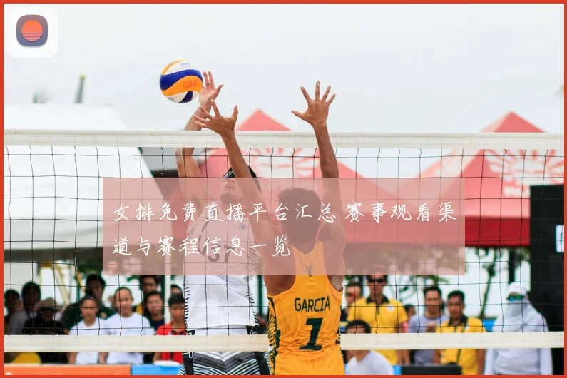 女排免费直播平台汇总 赛事观看渠道与赛程信息一览