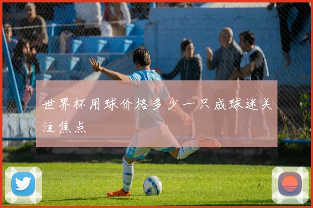 世界杯用球价格多少一只成球迷关注焦点