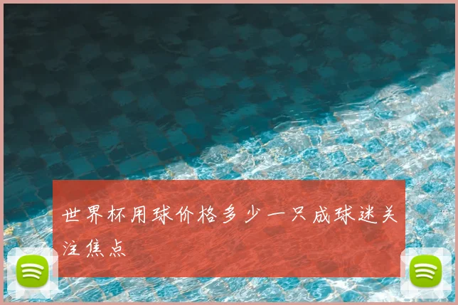 世界杯用球价格多少一只成球迷关注焦点