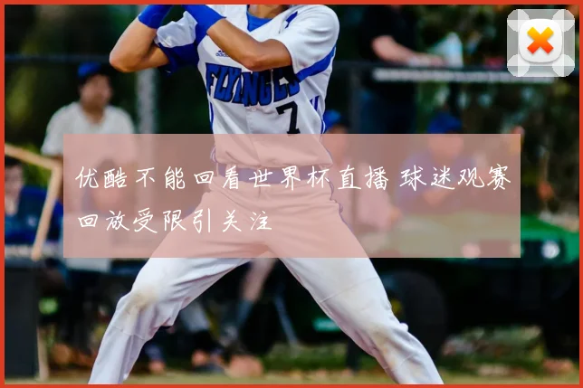 优酷不能回看世界杯直播 球迷观赛回放受限引关注