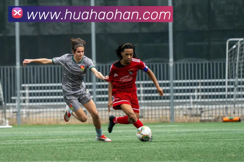 辅助工具 辅助工具